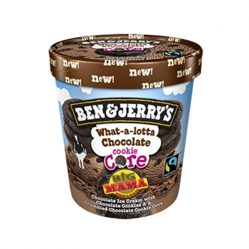 302. Ben & Jerry`s Chocolate Fudge Brownie Sündhaft cremige Schokoladeneiscreme